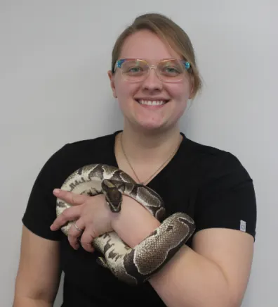 Emily New Haven Pet Hospital holding a snake